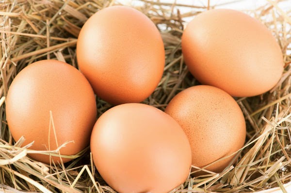 Εσείς γνωρίζετε τι σχέση έχει αυτός ο κωδικός 1EL0300102354 με τα αυγά που τρώμε; - Φωτογραφία 1