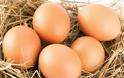 Εσείς γνωρίζετε τι σχέση έχει αυτός ο κωδικός 1EL0300102354 με τα αυγά που τρώμε;