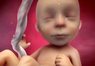 Αγόρι ή κορίτσι; Δείτε το ΣΥΓΚΛΟΝΙΣΤΙΚΟ βίντεο για το πώς διαμορφώνεται το φύλο του μωρού στη μήτρα! - Φωτογραφία 1