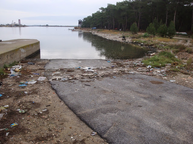 Νεκροταφείο ψαριών το Πόρτο Λάγος – Ξεβράζει πτώματα εδώ και 2 βδομάδες το Λιμάνι - Φωτογραφία 2