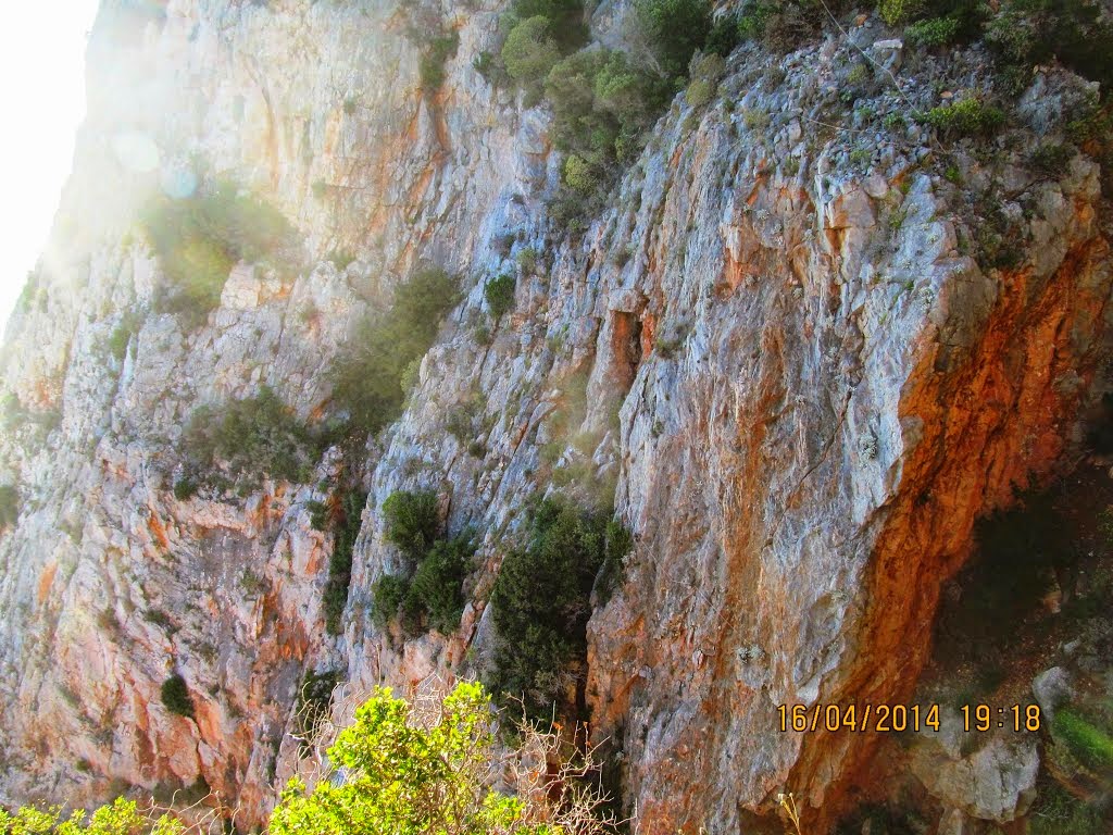 5691 - Στην έρημο του Αγίου Όρους με τον φακό του Miloš Petrović - Φωτογραφία 4