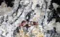Αμφίπολη: Οι εκπληκτικές τοιχογραφίες δίνουν νέα στοιχεία για την ταυτότητα του νεκρού... [photos] - Φωτογραφία 4