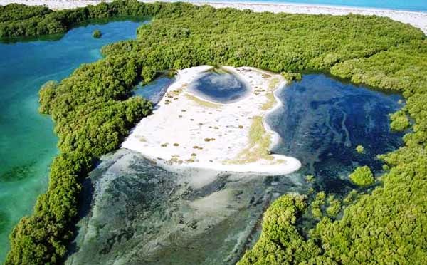 Bu Tinah: Το άγνωστο νησί του Αμπού Ντάμπι [photos] - Φωτογραφία 1