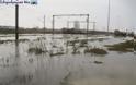 Έκλεισε ο εμπορικός σιδηροδρομικός σταθμός Διαλογής Θεσσαλονίκης λόγω πλημμύρας. Δείτε εικόνες και βίντεο - Φωτογραφία 3