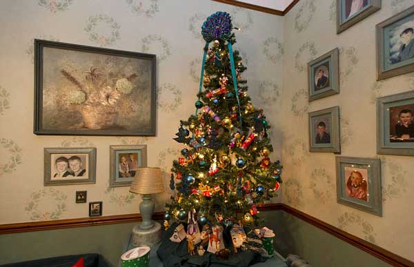 Ζευγάρι στολίζει 52 δέντρα κάθε Χριστούγεννα! [photos] - Φωτογραφία 6