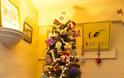 Ζευγάρι στολίζει 52 δέντρα κάθε Χριστούγεννα! [photos] - Φωτογραφία 8