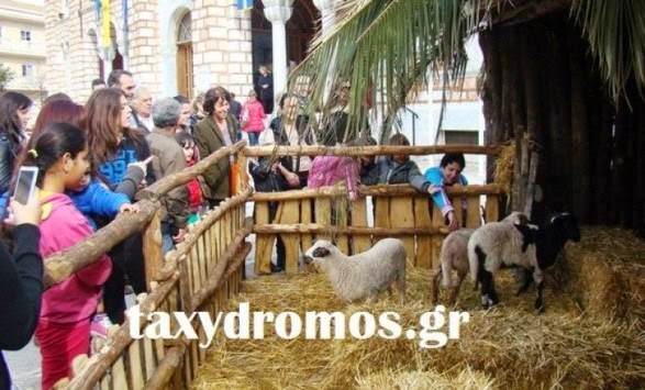 Στο τμήμα ο Μπέος για τη φάτνη με τα αληθινά ζώα - Φωτογραφία 2