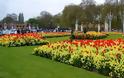Κάτι απαγορευμένο φυτρώνει στους κήπους της Ελισάβετ - Βρέθηκαν «μαγικά» μανιτάρια στο Μπάκιγχαμ
