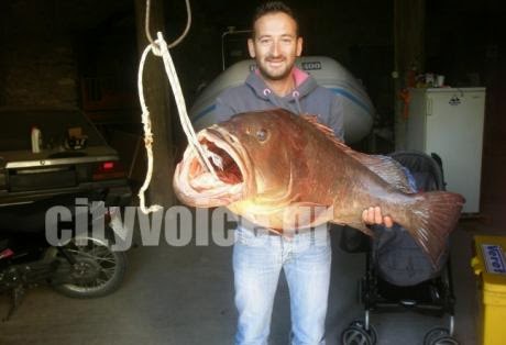 Ο ψαράς από το Αγρίνιο που έπιασε ροφό 23 κιλών - Φωτογραφία 1