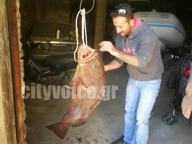 Ο ψαράς από το Αγρίνιο που έπιασε ροφό 23 κιλών - Φωτογραφία 2