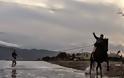 Horse Surfing: Ένα νέο άθλημα στη Ναύπακτο - Φωτογραφία 12