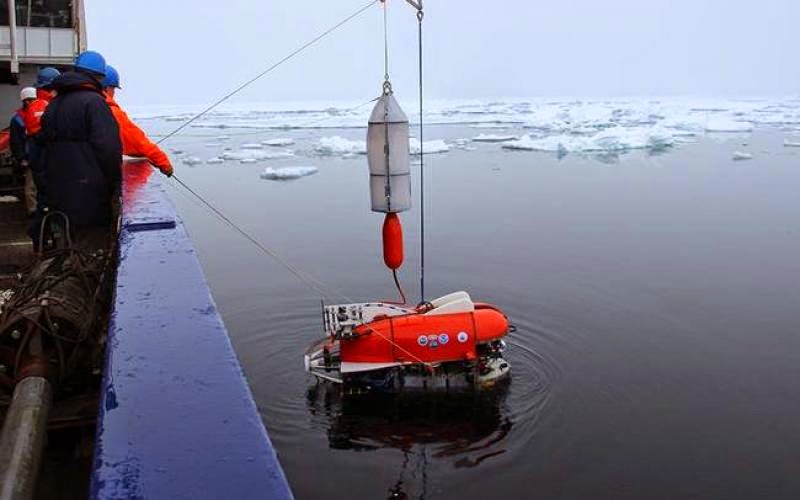 Αρκτική: Υπάρχει ζωή κάτω από τους πάγους; - Φωτογραφία 1