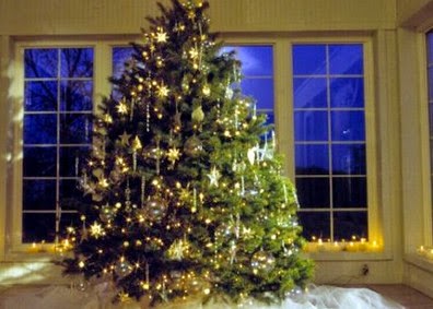 Δείτε που στολίστηκε το πρώτο Χριστουγεννιάτικο δέντρο στην Ελλάδα! - Φωτογραφία 1