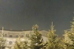 Ένα μικρό χριστουγεννιάτικο δάσος στην πλατεία Αριστοτέλους ανοίγει σήμερα για το κοινό