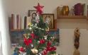 Ο Σύνδεσμος Γυναικών Ηπείρου Αττικής, στόλισε το Χριστουγεννιάτικο Δένδρο του