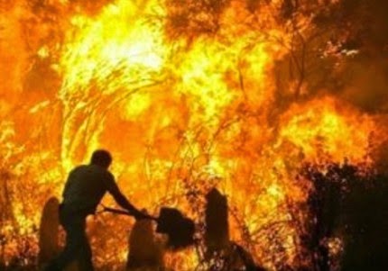 Πάτρα: «Βρήκα τη μάνα γονατιστή με τα παιδιά της»:Η συγκλονιστικότερη στιγμή στις φωτιές της Ηλείας το 2007 [video] - Φωτογραφία 1