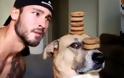 Ξεκαρδιστικό βίντεο: Σκύλος αντιστέκεται με σθένος σε μπισκότα και λουκάνικα...[video]