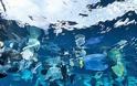Χιλιάδες τόνοι πλαστικού πλημμυρίζουν τους ωκεανούς