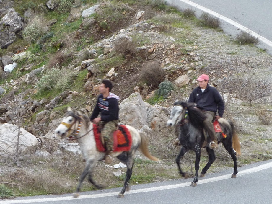 Με άλογα και… γκλίτσες φυλάνε την περιοχή τους για να μην πάνε σκουπίδια! - Φωτογραφία 2