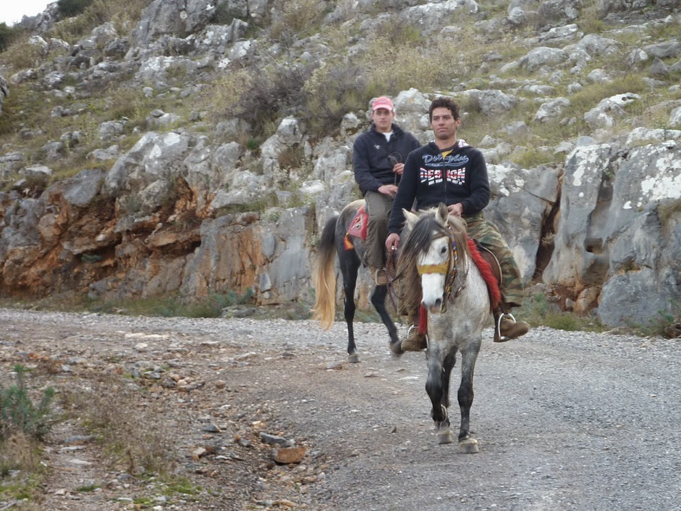 Με άλογα και… γκλίτσες φυλάνε την περιοχή τους για να μην πάνε σκουπίδια! - Φωτογραφία 3