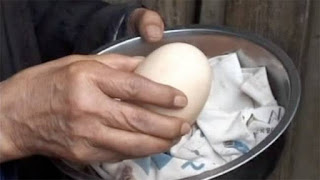 Απίστευτο: Τεράστιο αυγό κότας περιέχει… δυο εκπλήξεις - Φωτογραφία 1