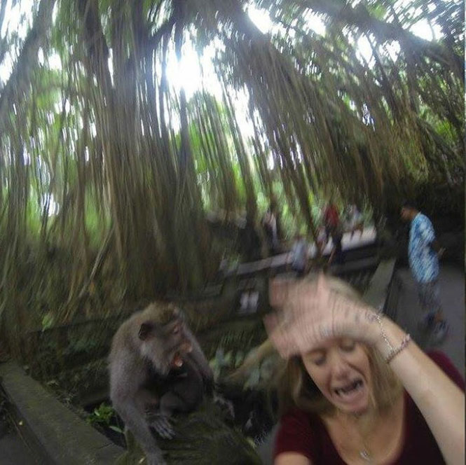 Ήθελε να βγάλει selfie με μια μαϊμού, όμως τα πράγματα δεν πήγαν όπως τα σχεδιάζε… [photos] - Φωτογραφία 2