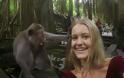 Ήθελε να βγάλει selfie με μια μαϊμού, όμως τα πράγματα δεν πήγαν όπως τα σχεδιάζε… [photos]