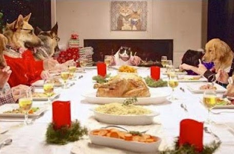 13 σκύλοι και μια γάτα σε ένα χριστουγεννιάτικο τραπέζι που έγινε viral! [Video] - Φωτογραφία 1