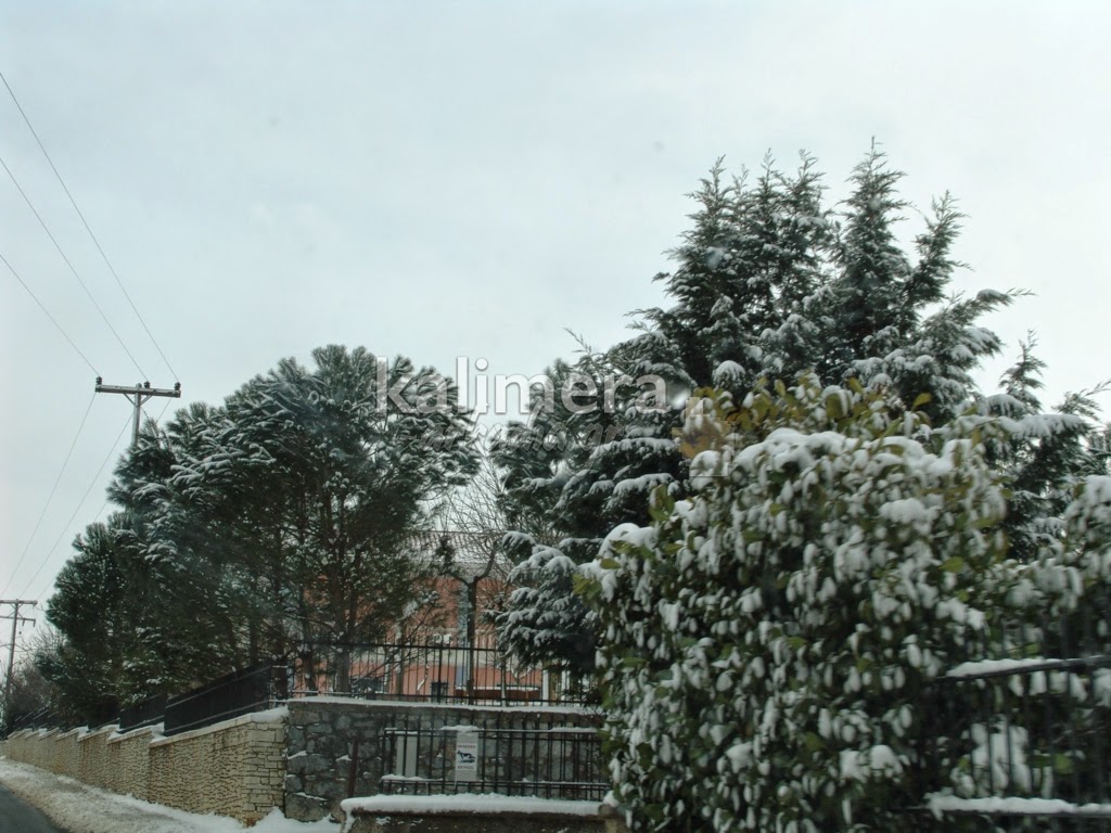 Δείτε χιονισμένη την Τρίπολη του … 2008! - Φωτογραφία 3