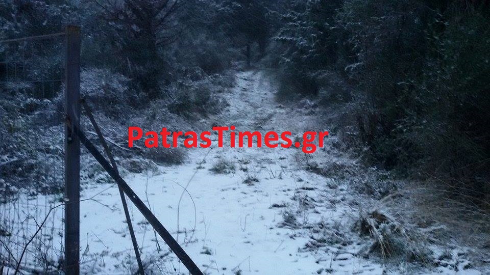 Χιονίζει ασταμάτητα σε Καλάβρυτα και Άνω Χώρα Ναυπακτίας... [photos] - Φωτογραφία 3