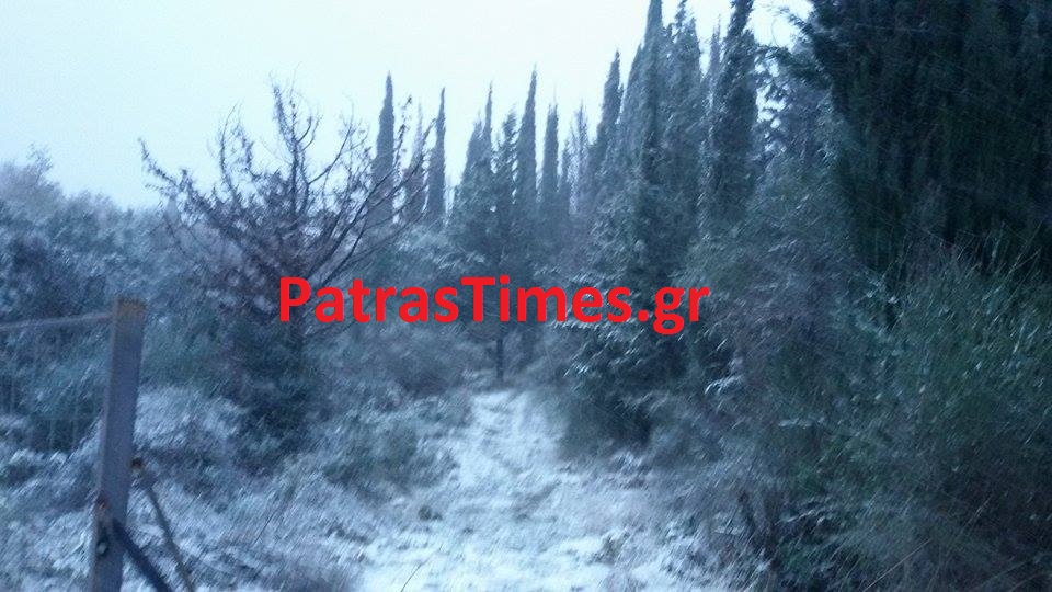 Χιονίζει ασταμάτητα σε Καλάβρυτα και Άνω Χώρα Ναυπακτίας... [photos] - Φωτογραφία 4