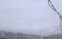 Αχαΐα: Χιονίζει ασταμάτητα στα Καλάβρυτα - Το στρώνει σε Αργυρά και Σελλά - Πάγωσε η Πάτρα - Κλειστό το Ρίο Αντίρριο - Φωτογραφία 4
