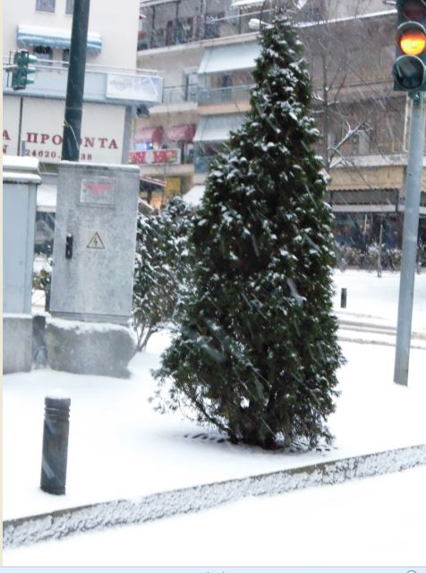 Tα Γρεβενά στα «Λευκά» [photos] - Φωτογραφία 16