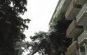 Δέντρο έπεσε πάνω σε πολυκατοικία στην Τρίπολη [photos]