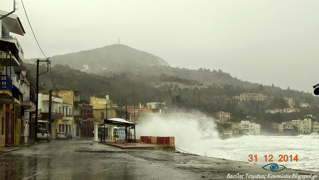 Πολλά τα μποφόρ στην Κύμη [photos] - Φωτογραφία 8