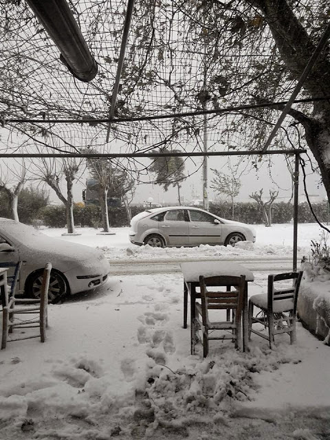 Παραδόθηκε στο χιόνι ο Έβρος – Διεκόπη η κυκλοφορία των οχημάτων στη Σαμοθράκη [video + photos] - Φωτογραφία 7