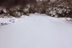 Μαγευτικές Φωτογραφιες αναγνώστη από την Πάρνηθα