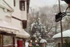 Αντιμέτωπη με τον παγετό ολόκληρη η Μαγνησία [video + photos]