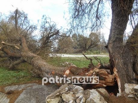 Ηλεία: Τυφώνας «σάρωσε» το κάμπινγκ της Κουρούτας! - Φωτογραφία 4