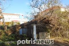 Ηλεία: Τυφώνας «σάρωσε» το κάμπινγκ της Κουρούτας!