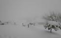 Η Κρήτη στο μάτι του χιονιά - Αποκλεισμένα χωριά [photos] - Φωτογραφία 16