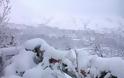 Η Κρήτη στο μάτι του χιονιά - Αποκλεισμένα χωριά [photos] - Φωτογραφία 2