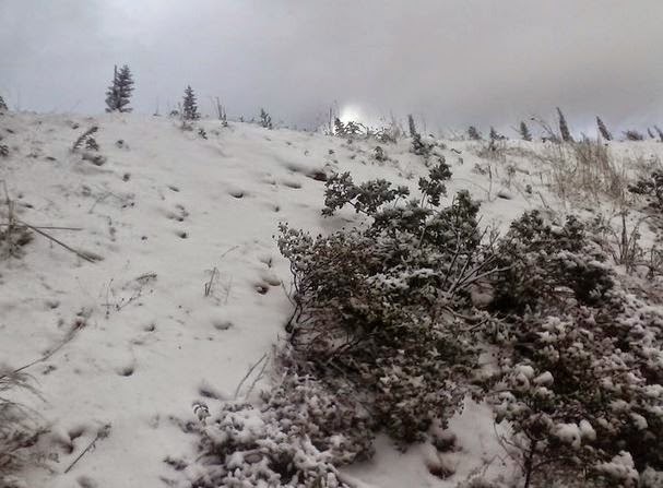 Στους 30 πόντους το χιόνι στ’ Ανώγεια – Στα… λευκά ο Ψηλορείτης [video + photos] - Φωτογραφία 1