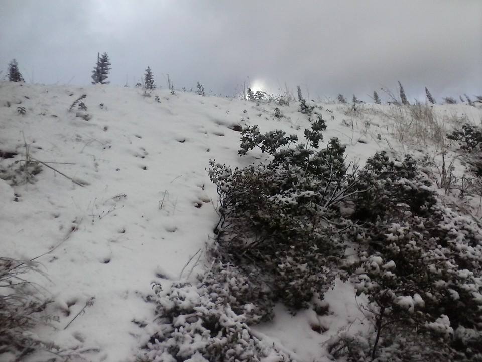 Στους 30 πόντους το χιόνι στ’ Ανώγεια – Στα… λευκά ο Ψηλορείτης [video + photos] - Φωτογραφία 3