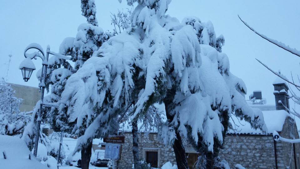 Στους 30 πόντους το χιόνι στ’ Ανώγεια – Στα… λευκά ο Ψηλορείτης [video + photos] - Φωτογραφία 9