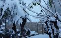 Στους 30 πόντους το χιόνι στ’ Ανώγεια – Στα… λευκά ο Ψηλορείτης [video + photos] - Φωτογραφία 8