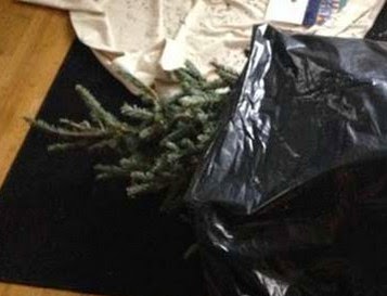 Σατανική φάρσα με το χριστουγεννιάτικο δένδρο που θα σας κόψει την ανάσα...[photos] - Φωτογραφία 1