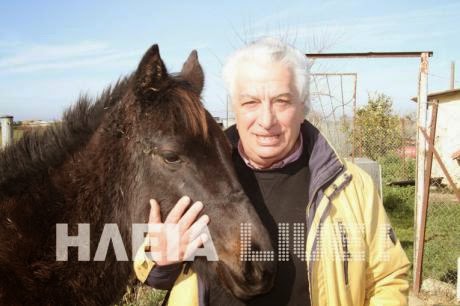 Ηλεία: Ο γιατρός που άφησε πίσω του τα βουλευτικά έδρανα εκτρέφει πλέον ελάφια, άλογα, λάμα και στρουθοκαμήλους - Φωτογραφία 5