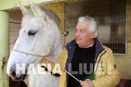 Ηλεία: Ο γιατρός που άφησε πίσω του τα βουλευτικά έδρανα εκτρέφει πλέον ελάφια, άλογα, λάμα και στρουθοκαμήλους - Φωτογραφία 6