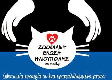 Ημέρες υιοθεσίας γάτας από την Ζωοφιλική ένωση Ηλιούπολης! - Φωτογραφία 1